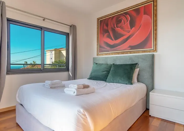 Sea View 카메라데로보스